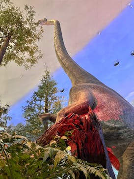 福井県立恐竜博物館に投稿された画像（2026/2/14）