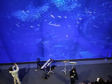 アクアワールド茨城県大洗水族館に投稿された画像（2026/2/14）