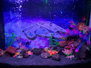 ひらかたパークに投稿された画像（2026/2/14）