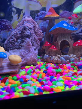 ひらかたパークに投稿された画像（2026/2/14）