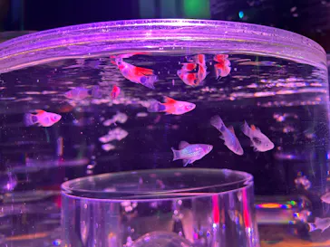 ひらかたパークに投稿された画像（2026/2/14）