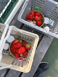 ICHIGOHOUSE.MITAKAに投稿された画像（2026/2/14）