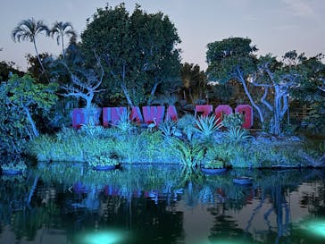 沖縄こどもの国に投稿された画像（2026/2/14）