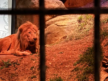 沖縄こどもの国に投稿された画像（2026/2/14）