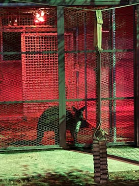 沖縄こどもの国に投稿された画像（2026/2/14）