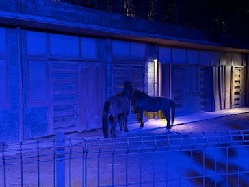 沖縄こどもの国に投稿された画像（2026/2/14）