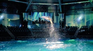 マクセル アクアパーク品川に投稿された画像（2026/2/14）