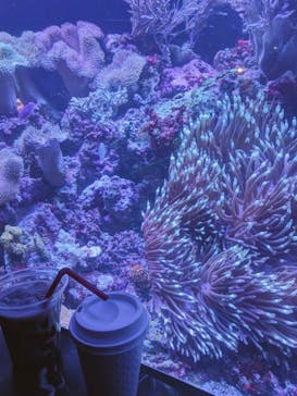 マクセル アクアパーク品川に投稿された画像（2026/2/14）