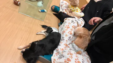 いぬカフェRio 広島店に投稿された画像（2026/2/14）