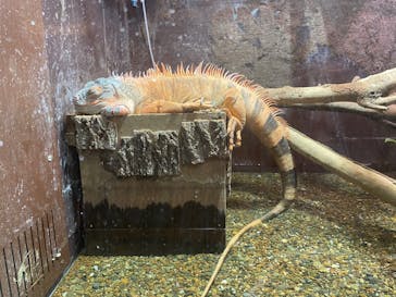 マクセル アクアパーク品川に投稿された画像（2026/2/14）