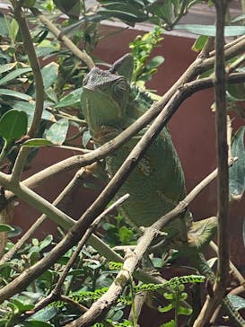 マクセル アクアパーク品川に投稿された画像（2026/2/14）