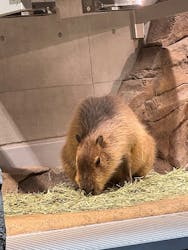 AQUARIUM × ART　atoaに投稿された画像（2026/2/14）