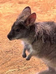 AQUARIUM × ART　atoaに投稿された画像（2026/2/14）