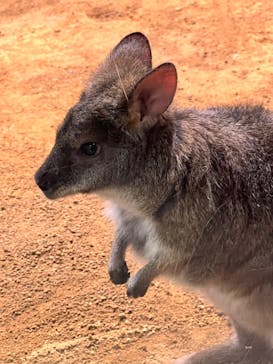 AQUARIUM × ART　atoaに投稿された画像（2026/2/14）