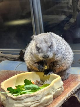 AQUARIUM × ART　atoaに投稿された画像（2026/2/14）