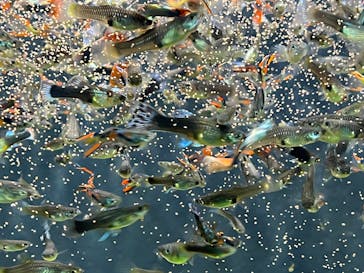 AQUARIUM × ART　atoaに投稿された画像（2026/2/14）