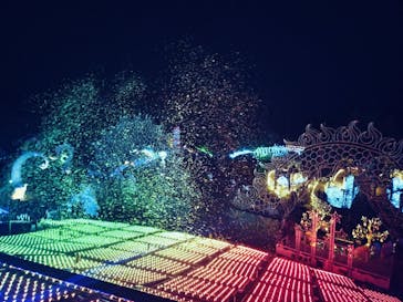 伊豆高原グランイルミに投稿された画像（2026/2/14）