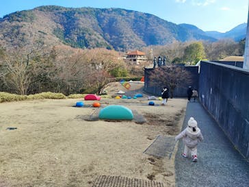 彫刻の森美術館に投稿された画像（2026/2/14）