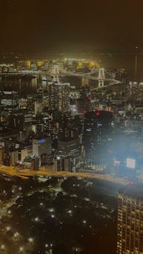 東京タワーに投稿された画像（2026/2/14）