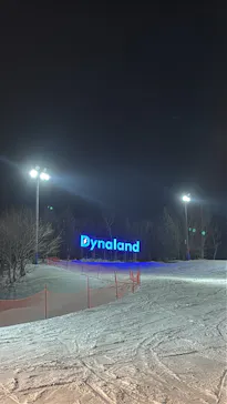ダイナランドに投稿された画像（2026/2/14）