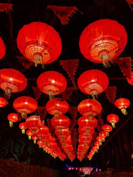 体験王国 むら咲むらに投稿された画像（2026/2/14）