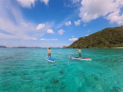 Acoustic Life（アコースティックライフ）に投稿された画像（2026/2/15）