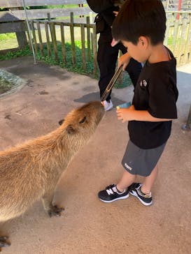 ネオパークオキナワに投稿された画像（2026/2/15）