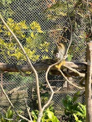 ネオパークオキナワに投稿された画像（2026/2/15）