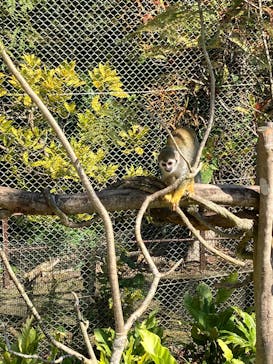 ネオパークオキナワに投稿された画像（2026/2/15）