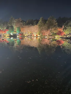 国営昭和記念公園 秋の夜散歩に投稿された画像（2026/2/15）