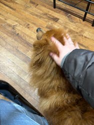 Countless River（カウントレスリバー）に投稿された画像（2026/2/15）