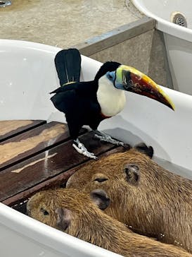 アニタッチ 東京ドームシティに投稿された画像（2026/2/15）