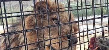 那須サファリパークに投稿された画像（2026/2/15）