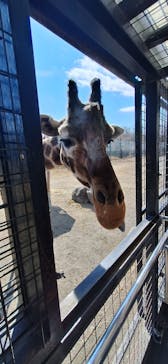 那須サファリパークに投稿された画像（2026/2/15）