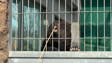 東武動物公園に投稿された画像（2026/2/15）