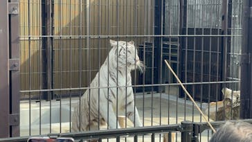 東武動物公園に投稿された画像（2026/2/15）