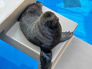 アクアワールド茨城県大洗水族館に投稿された画像（2026/2/15）