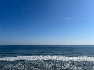アクアワールド茨城県大洗水族館に投稿された画像（2026/2/15）