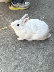 群馬サファリパークに投稿された画像（2026/2/15）