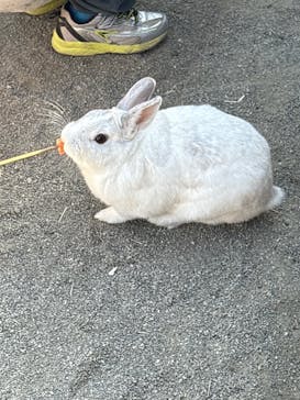 群馬サファリパークに投稿された画像（2026/2/15）