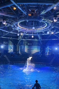 マクセル アクアパーク品川に投稿された画像（2026/2/15）