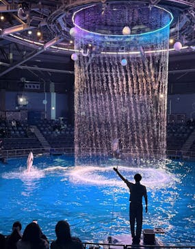 マクセル アクアパーク品川に投稿された画像（2026/2/15）