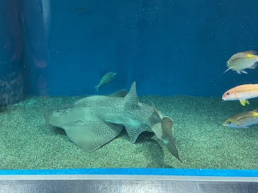 マクセル アクアパーク品川に投稿された画像（2026/2/15）