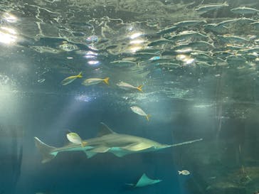 マクセル アクアパーク品川に投稿された画像（2026/2/15）