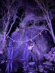 箱根湯本温泉 天成園に投稿された画像（2026/2/15）