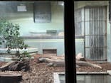 名古屋市東山動植物園に投稿された画像（2026/2/15）