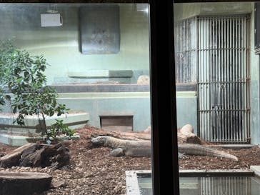 名古屋市東山動植物園に投稿された画像（2026/2/15）