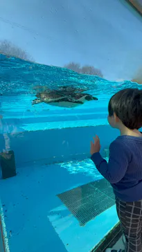 こども動物自然公園（埼玉県公園緑地協会）に投稿された画像（2026/2/15）