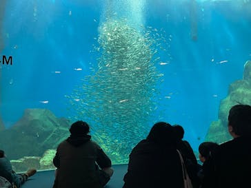 のとじま水族館に投稿された画像（2026/2/15）