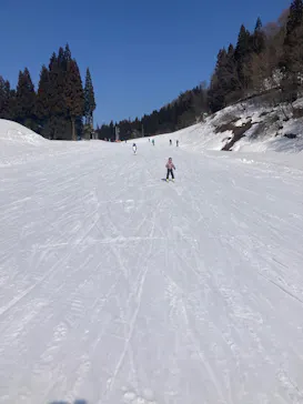 胎内スキー場に投稿された画像（2026/2/15）